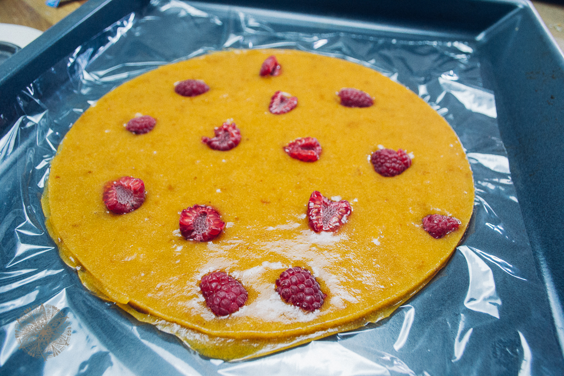 FrauBpunkt_Aprikosen_Himbeer_Torte-15.JPG
