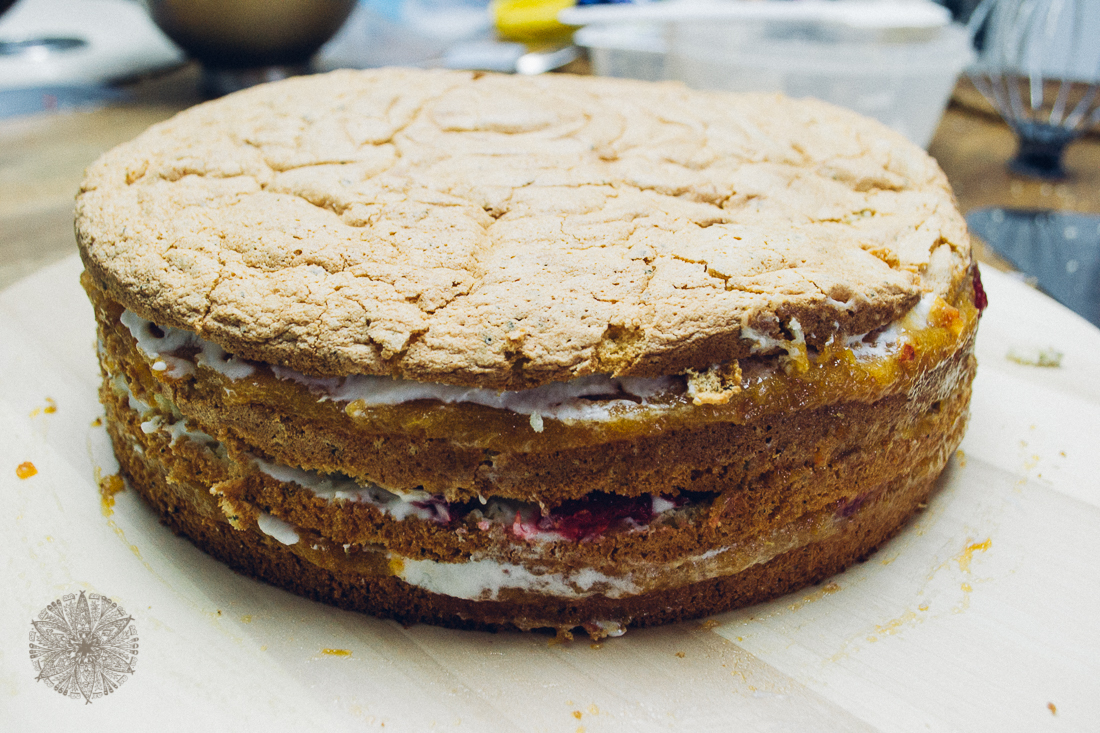 FrauBpunkt_Aprikosen_Himbeer_Torte-22.JPG
